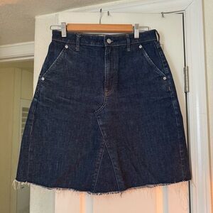 Everlane Dark Blue A-Line Denim Skirt